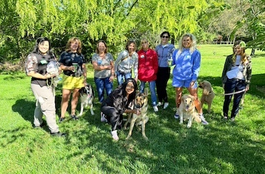 Dog Picnic